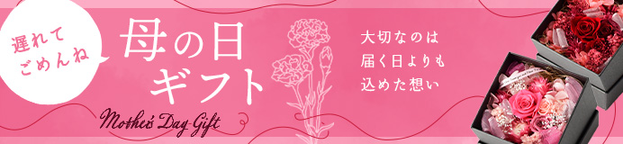 母の日遅れてごめんね