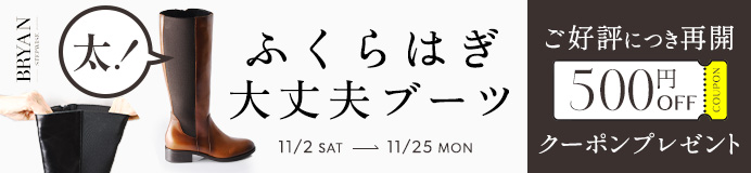 ブライアンステップワイズ先行予約