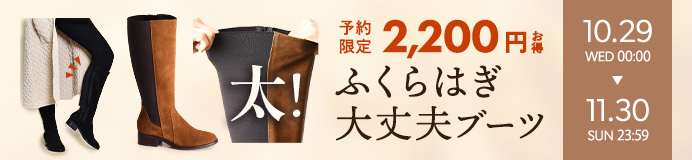 ブライアンステップワイズ先行予約販売
