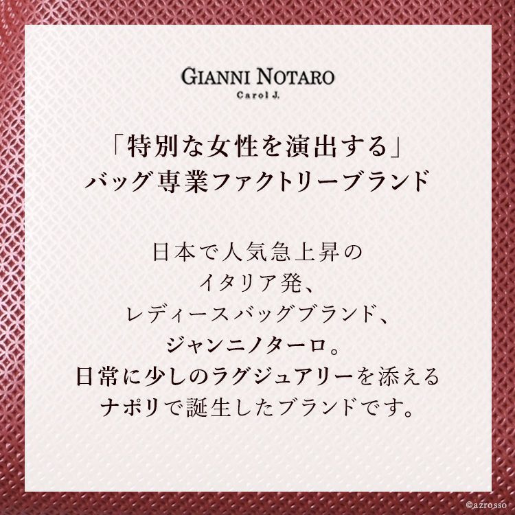 レディース ショルダーバッグ 本革 斜めがけバッグ イタリア製 ジャンニノターロ GIANNI NOTAROの通販